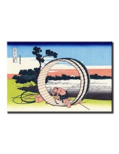 Vista campo del Fuji