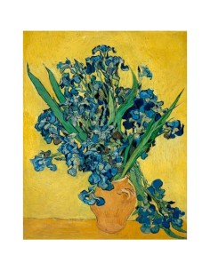 Cuadro Iris de Van Gogh