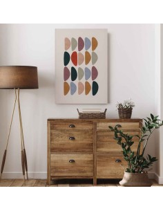 Cuadro Minimalista de colores Protea