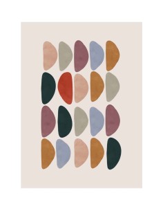 Cuadro Minimalista de colores Protea 2