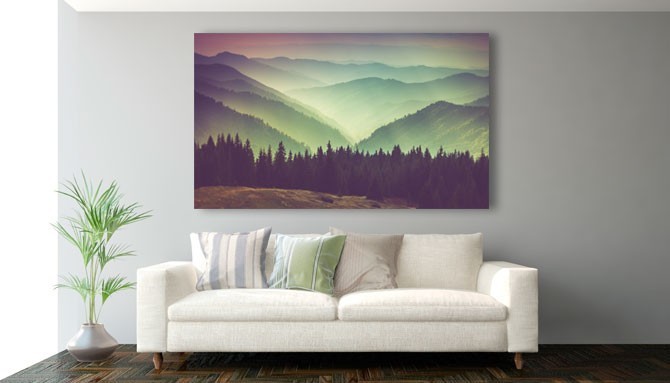 Cuadro de bosque a vista de pájaro